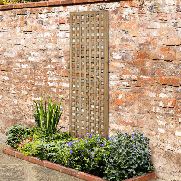 Forest Garden 180cm H x 60cm W Wood Lattice Panel Trellis Wayfair.co.uk